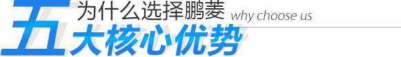 為什么選擇鵬菱 五大核心優勢 為什么選擇鵬菱 五大核心優勢